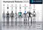 Humanoid Robotlar 2025: Yapay Zeka ile İş Gücünde Yeni Dönem Başlıyor